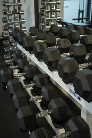 Dumbbells on the rack at Revex beFIT
